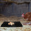 Black Laying Egg Cushion Washable Nesting Pad Chicken Nesting Box Eggs Holder 4