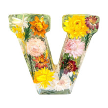 Tkrady Floral Resin Night Light with LED, Pressed Flower Resin Letter V, Gift for Her, Mother, Wife, Birthday, Mother's Day