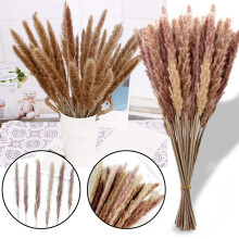 YiFudd 100PC Dried Decoration Dried Flowers Vases Bouquet Boho Decoration Branches