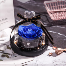 EQWLJWE Preserved Roses, Real Fresh Flowers Gift for Women, Forever Rose Bouquet Compatible with Christmas, Valentine's Day, Mother's Day, Birthday