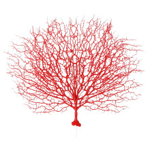 Eease Artificial Red Coral Branch for Aquarium/Home Decor