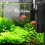 Aquarium corner filter, internal filter with aquarium pump 4