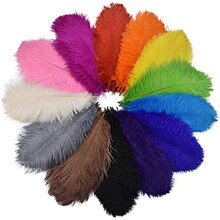 Pack of 10 Colored Ostrich Feathers for Crafts Wedding Decoration Craft Accessories Table Decoration Carnival Decoration