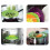 2-pack Silicone Cooking Lid / Multi Lid - Multiple Colors red 4