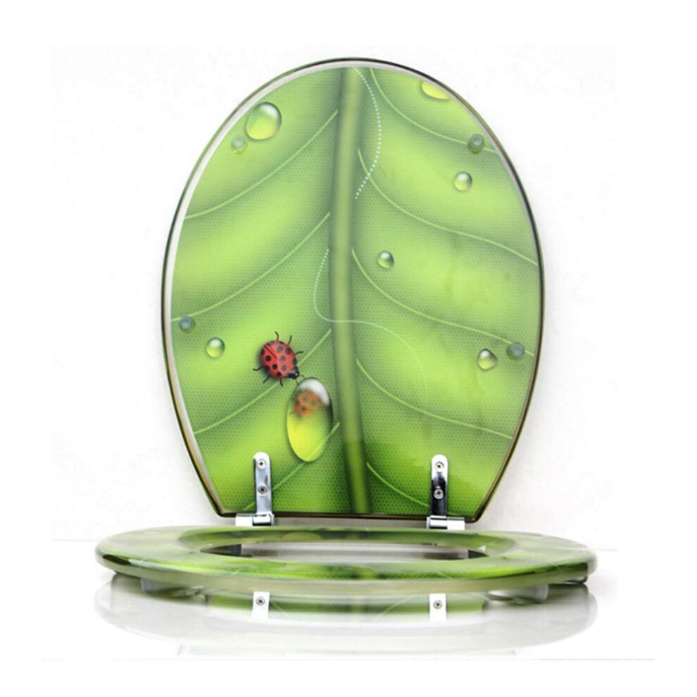 Elongated Slow Close Toilet Seat With Durable Metal Hinges And Decorative Transparent Resin 9455672796897
