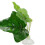 NEW Artificial Leaf Betta Hammock Fish Rest Bed Tropical Aquarium Decor Home Essentials 2