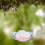 Hanging Glass Birdbaths - Large 2