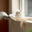 Cat's Window Hammock, Cat's Hanging Bed black 7