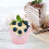 50pcs Tulip Baking Cups Colored Tulip Cupcake Liners for Baking Cups Cupcake Wrapper 6