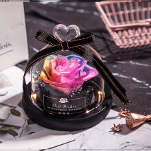 Lmueinov Dried Flowers for Home Decor, Wedding Gifts, Valentine's Day & Christmas, Eternal Real Rose with LED in Glass, Up to 30% Off