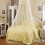 WinysinCeiling Print Ceiling Dome Net Wind Double Household Net Crypto Dome Net Hanging Net Bed Dome Net Dome Net 1