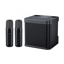 PAVEOS Karaoke Machine with 2 Wireless Mics, 3000mAh Portable Speaker, Bluetooth 5.0, Rechargeable PA System, Subwoofer, Outdoor Use, Black