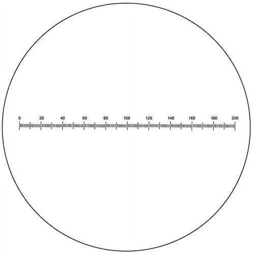 Microscope Eyepiece Reticle Scale Micrometer Ruler Dia. 24mm, 10mm/200 Div. RT20101162