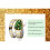 Women's Watch Analog Classic Quartz G 2