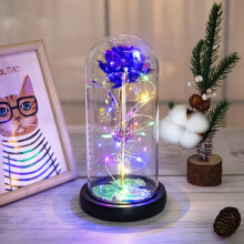 Christmas Rose Gift for Women, Beauty and the Beast Galaxy Enchanted Rose Music Box, LED Forever Flower in Glass Dome, compatible with anniversary,