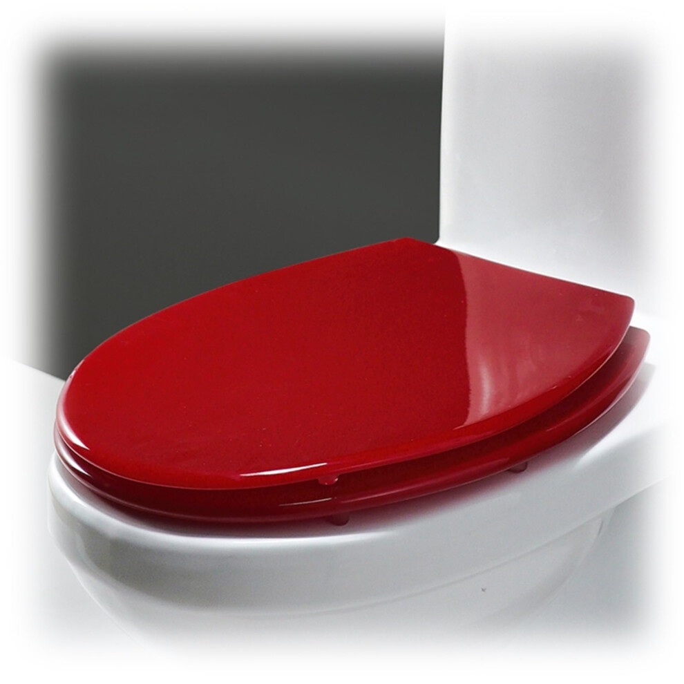 Silver Glitter Soft Close Toilet Seat With Quick Release Adjustable Hinges 36 X 42 Cm 9070919658853