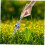Stainless Steel Garden Weeding Fork Weeder Puller Tool with Ergonomic Grip for Efficient Root Removal 5