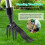 Weed Puller with Long Handle- Adjustable Stand Up Tool, Heavy Duty Dandelions Diggers 1