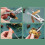 Seafood Tools Clip Needle Picks Pincer Nut Set Crab Accessories for Kitchen 2