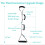 Leg Lifter Strap, Multi Loop Adjustable with Nylon Webbing with Hand Grips ,35inch-44inch for Bed Couch ,Hip Replacement, , Soft Handle 7
