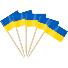 YZhouD Argentina Flag Toothpicks - 200 Pcs Cupcake Toppers & Cocktail Picks for COPA America 2024, Soccer Party, Olympic Games & National Day