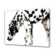 Dalmatian Dog Snow Canvas Poster Bedroom Decor Sports Landscape Office Room Decor Gift,Frame-style,16x24inch(40x60cm)