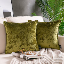 Phantoscope Shiny Crushed Velvet with Trim Series Decorative Throw Pillow, 22" x 22", Light Green, 2 Pack