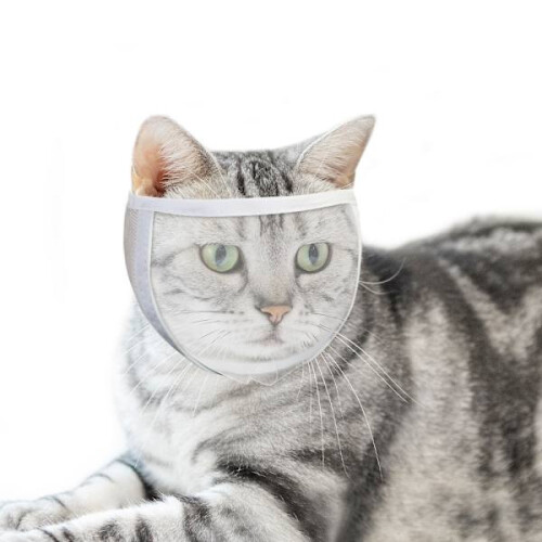 Cat muzzle for grooming and treatment White M