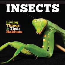 Living Things & Their Habitats: Insects (Paperback)