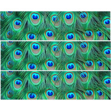 Peacock Print Edible Cake Strips ~ Design 1