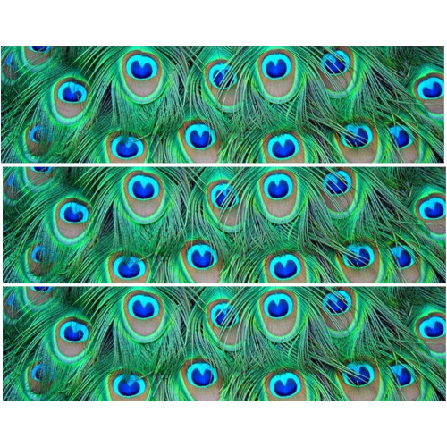 Peacock Print Edible Cake Strips ~ Design 1