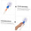 Handheld Pool Cleaning Brush with Efficient Bristle Design for Corner, Wall and Step Scrubbing 4