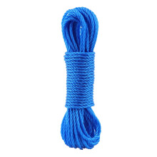 DEWIN Leash Bundling Rop - 10m Gardening Garden Rope Nylon Rope Climbing Rope Traction Rope Tying Rope (Blue)