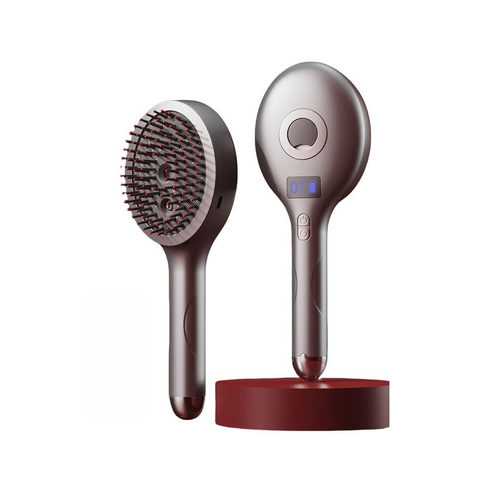 Gray 2 In 1 Detangling Hair Brush With Ultrafine Mist Sprayer For Wet And Dry Frizz Control,