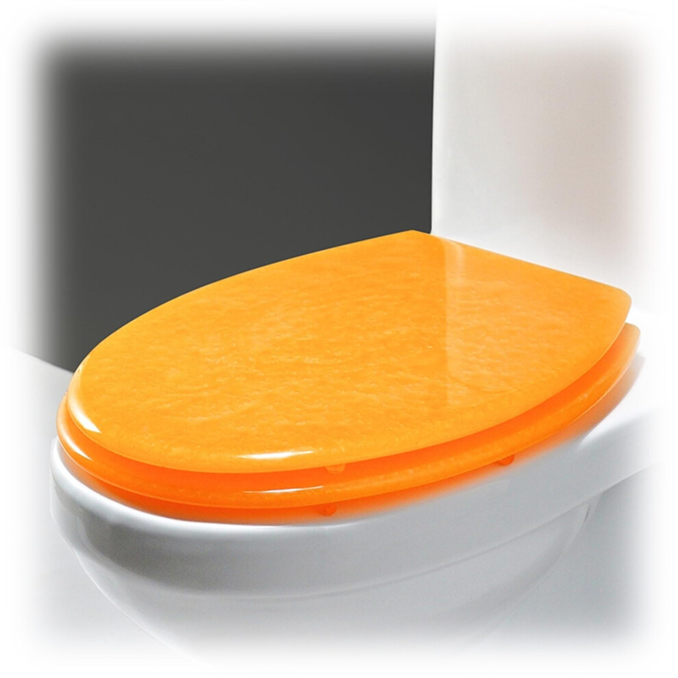 Soft Close Glitter Toilet Seat With 360 Adjustable Hinges And Quick Release Easy Clean Design 9113335512719