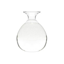 Avocado Growing Kit with Transparent Glass Vase, Hydroponic Design and Clear Root Observation