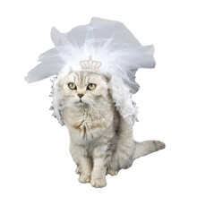 1stk Haustierzubehör Braut Weiß Hochzeitskleid Die Katze