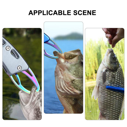 Fischkontrollgerät Angelgreifer Grab Edelstahl Blau 1