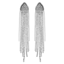 1Paar Lange Tassel Oorbellen Met Ketting Zilverkleurig