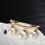 2Stk Golden Perlenbrosche Modelegierung Eleganter Abzeichen Schmuck 5