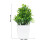 4Pcs Bonsai Artificial Verde Para Com Visual Natural 2