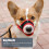 1Pc Red Nylon Dog Muzzle with Adjustable Strap Anti-Bite Safety Cover 9