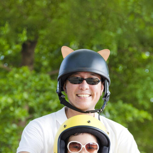 1Set Durable Beige Plastic Motorcycle Helmet Cat Ear Accessory 2
