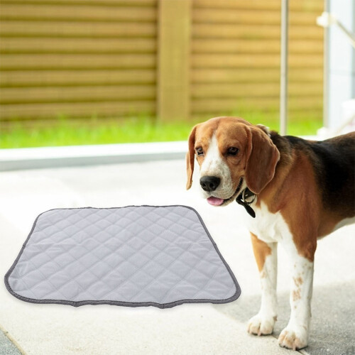 Extra Large Washable Dog Pee Pads Dark Grey Polyester Indoor Mat 1
