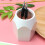Pinker Bleistifthalter Aus Robustem Material Mit Elegantem Design 5
