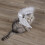 Polyester Tierkleidung Weiß Engelsflügel Dekoration Katze 7
