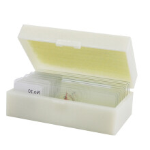 10Stk Biologie Mikroskop Objektträger Beige Aus Glas Für Lernzwecke