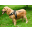 Dog Chest Strap Saddle Type Oxford Cloth 1set 6