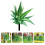 Garden Signs For Vegetables Stake Acrylic Decorative 1set 11
