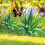 Garden Signs For Vegetables Stake Acrylic Decorative 1set 3